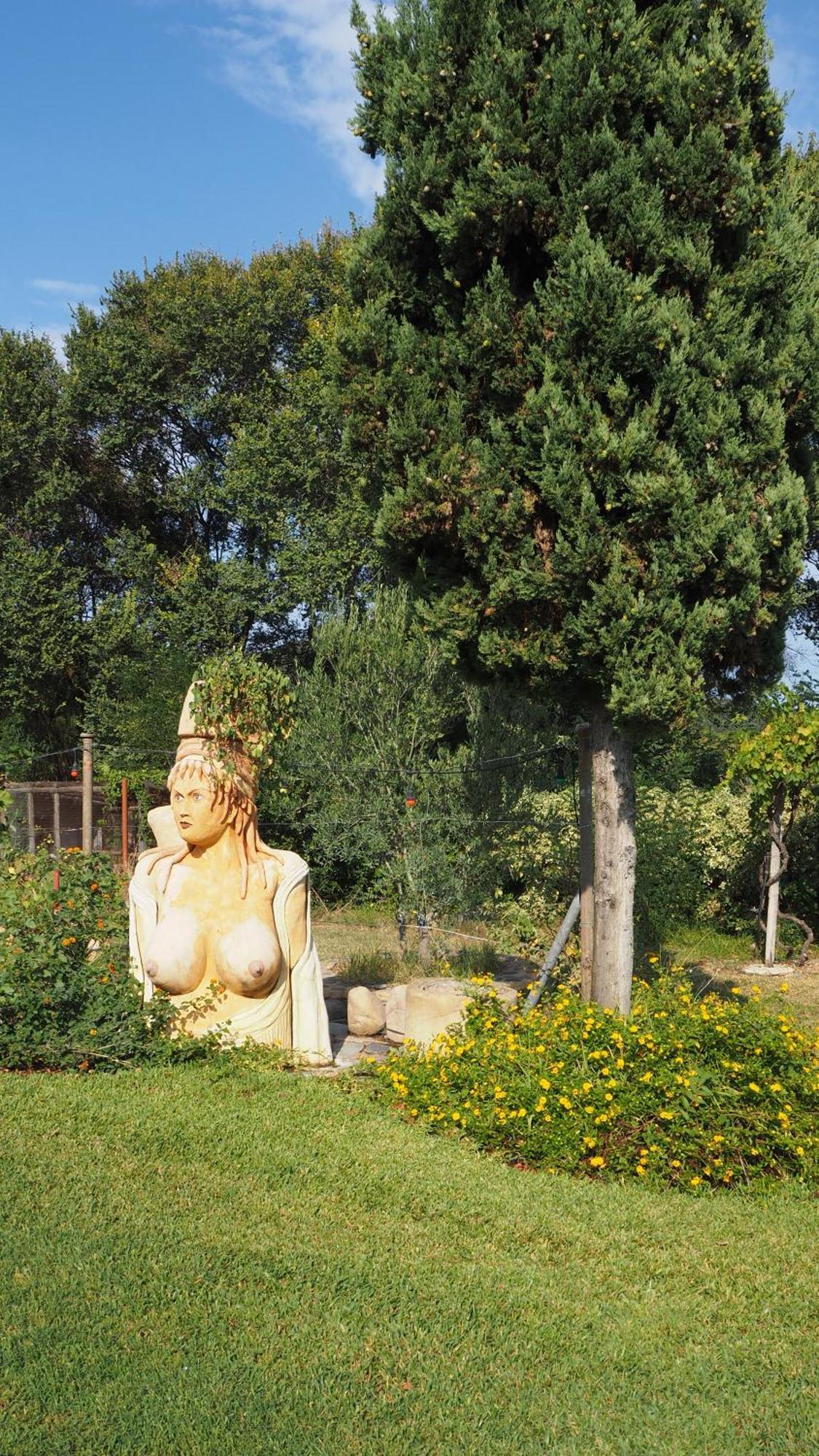 Medusa Gorgon Develikia Bagian luar foto